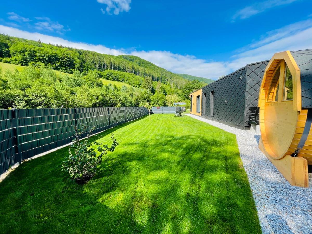 Voralpen Lodge - Ferienhaus Mit Gym, Sauna & Hot Tub Traisen エクステリア 写真