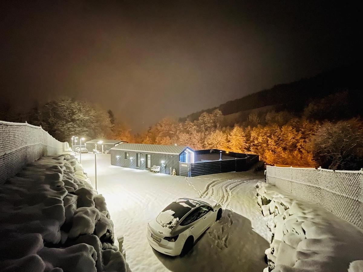 Voralpen Lodge - Ferienhaus Mit Gym, Sauna & Hot Tub Traisen エクステリア 写真